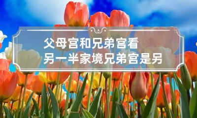 父母宫和兄弟宫看另一半家境 兄弟宫是另一半的父母宫