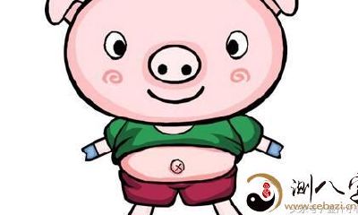 属猪之人最大的优缺点