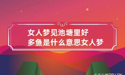 女人梦见池塘里好多鱼是什么意思 女人梦见池塘里的鱼