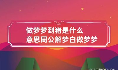 做梦梦到猪是什么意思周公解梦白 做梦梦到猪是什么意思?