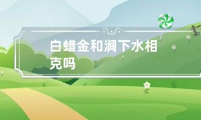 白蜡金和涧下水相克吗