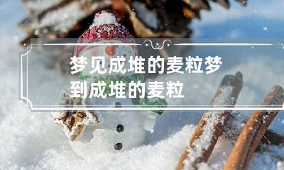 梦见成堆的麦粒 梦到成堆的麦粒