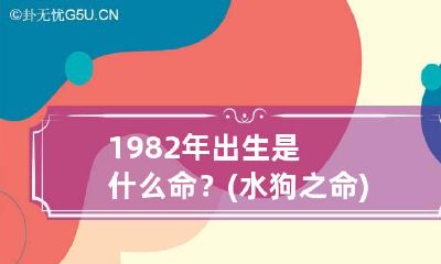 1982年出生是什么命？(水狗之命) 1982年属狗什么水命