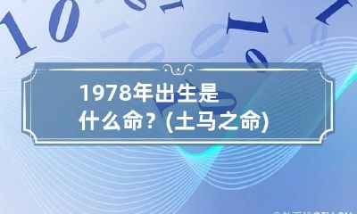 1978年出生是什么命？(土马之命) 1978年属马的是什么土命还是火命
