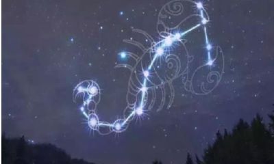 黄道十二星 | 哇！你见过这样的十二星座吗