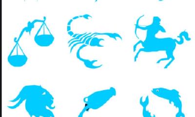 被这个星座喜欢的人，一定很优秀。