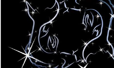 哪些星座看起来比较脆弱