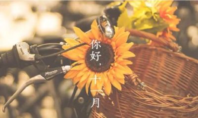 11月给12星座的一句话忠告，谁能化险为夷？？