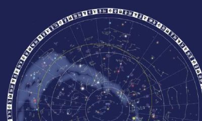 12星座HR职场性格分析