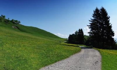 2018年8月27日女孩出生起名推荐,如何看宝宝的五行呢？