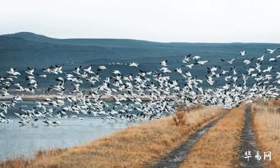 盛姓在百家姓当中排第几位？盛姓氏的起源地在哪里？