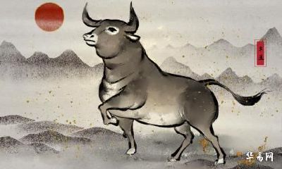 哪一年出生的属牛人命中有两段婚姻？是二婚命