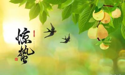 2023年惊蛰是哪天？今年惊蛰是暖还是寒？