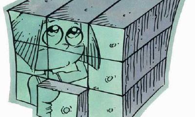 属猪的处女座和什么生肖星座最配？