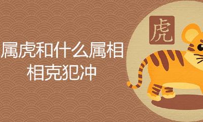 属虎的和什么生肖相克犯冲