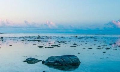 有特色的柳姓宝宝起名