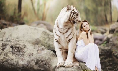 2022年出生命苦吗，为什么不建议生2022虎宝宝？