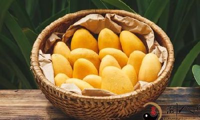 梦见芒果长在土壤里