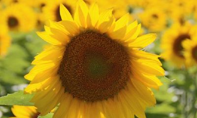 2022很多人换大运是真的吗？