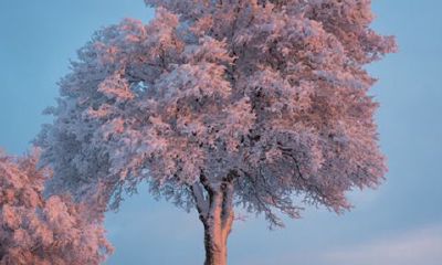 2022生肖女最幸福发财