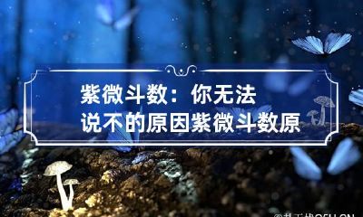 紫微斗数：你无法说不的原因 紫微斗数原文