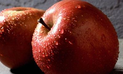 2022农历8月出生几月怀孕