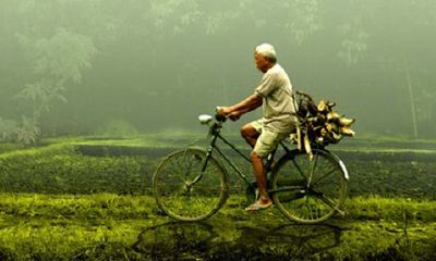男人越看越想看生肖女人