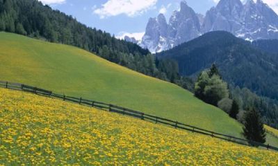 八字看一个人婚姻不顺的命理原因