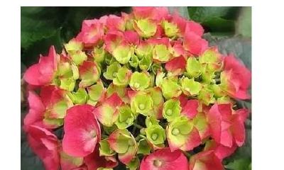 结婚以后婚姻幸福的八字