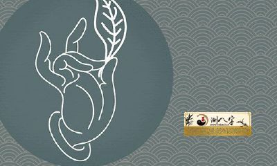 上身胖腿瘦的女人命运好吗？