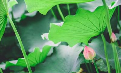 小寒节气那天几点几分是小寒时辰？小寒时间怎么计算？