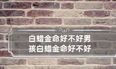 白蜡金命好不好 男孩白蜡金命好不好