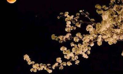 女人身上66种的吉凶痣相