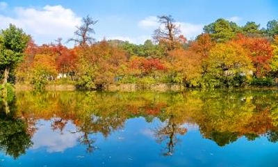 大寒节气是哪天？2022年大寒节气出生的宝宝好吗？