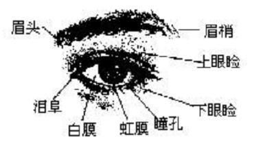 面相算命 眼睛