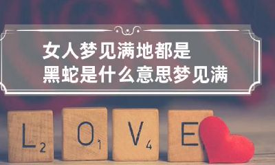 女人梦见满地都是黑蛇是什么意思 梦见满地的黑蛇是什么意思