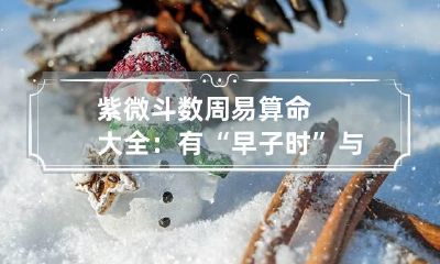 紫微斗数 周易算命大全：有“早子时”与“晚子时”之说吗？