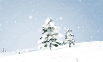 85属牛人的灾难年龄是什么时候 几岁