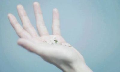 掌心有一颗褐色的痣好吗 需要点掉吗