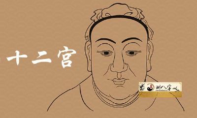 面相十二宫公式详细版