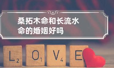 桑拓木命和长流水命的婚姻好吗