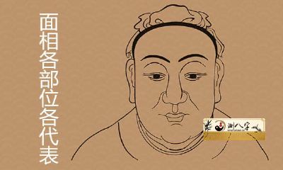 各个部位代表什么？