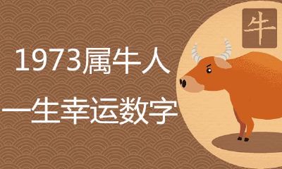 1973属牛一生有哪些幸运数字？