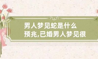 男人梦见蛇是什么预兆,已婚男人梦见很多蛇