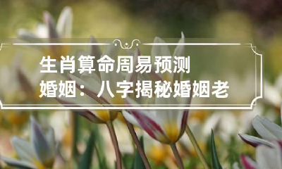 生肖算命 周易预测婚姻：八字揭秘婚姻老失败的原因