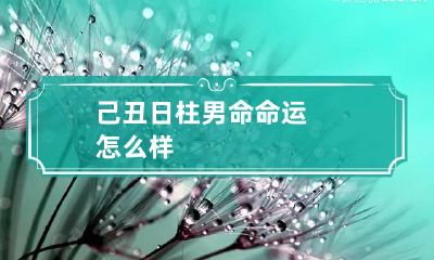 己丑日柱男命命运怎么样