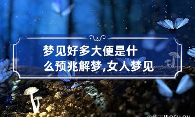 梦见好多大便是什么预兆解梦,女人梦见口里吐出大便