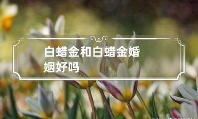 白蜡金和白蜡金婚姻好吗