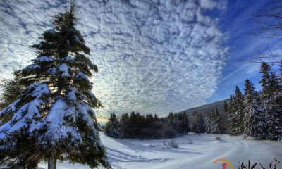 梦到寒冷的冬季