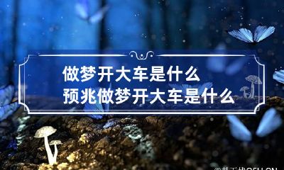做梦开大车是什么预兆 做梦开大车是什么预兆解梦